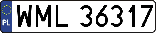 WML36317