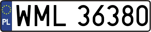 WML36380