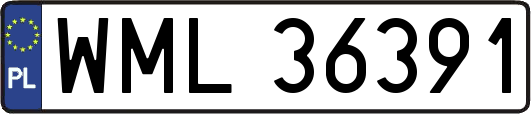 WML36391