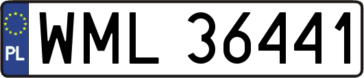 WML36441