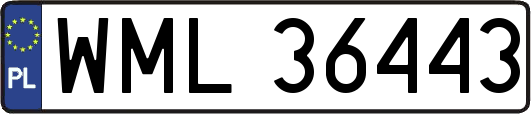WML36443