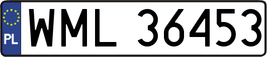 WML36453