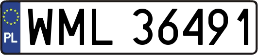 WML36491