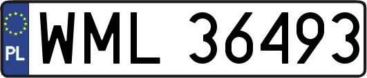 WML36493