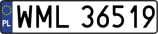WML36519