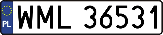 WML36531
