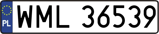 WML36539