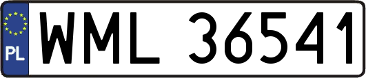 WML36541