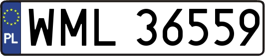 WML36559