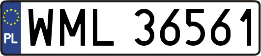 WML36561