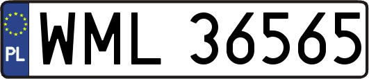 WML36565