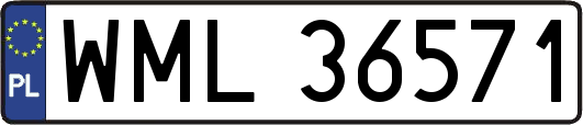 WML36571