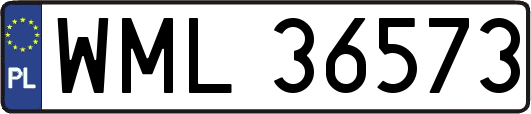 WML36573