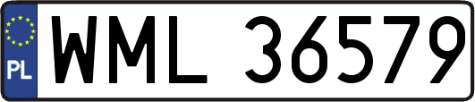 WML36579
