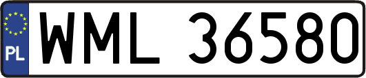 WML36580