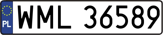 WML36589