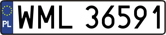 WML36591