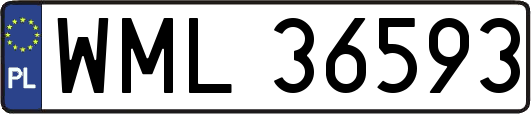 WML36593