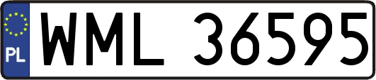 WML36595