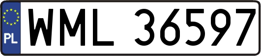 WML36597