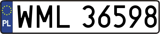 WML36598