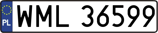 WML36599