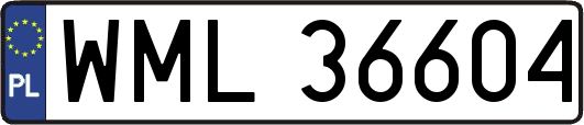 WML36604