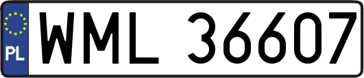 WML36607