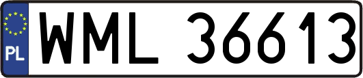 WML36613