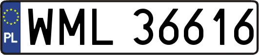 WML36616