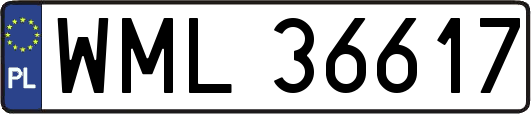 WML36617