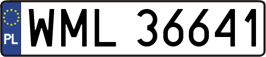 WML36641