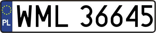 WML36645