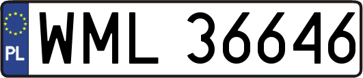 WML36646