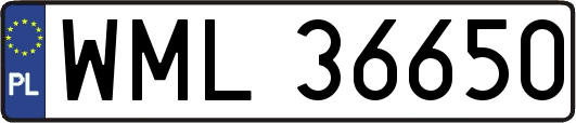 WML36650