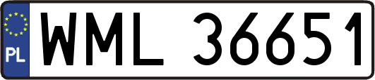 WML36651