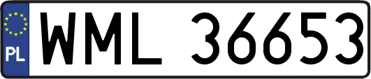 WML36653