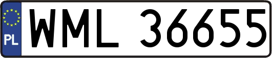 WML36655