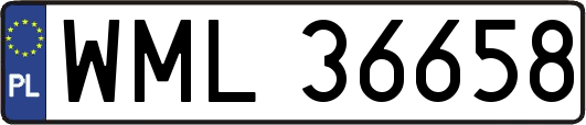 WML36658