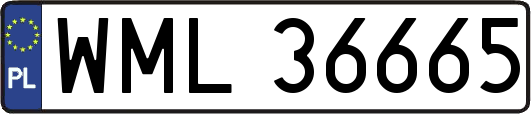 WML36665