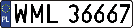 WML36667