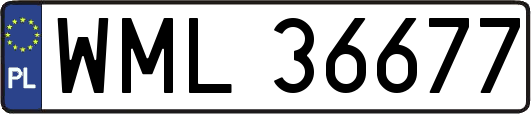 WML36677