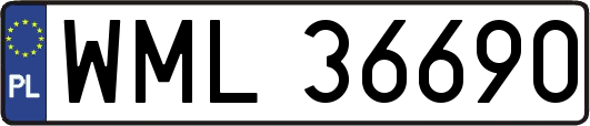 WML36690