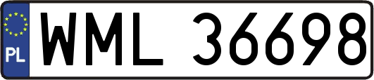 WML36698
