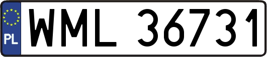 WML36731