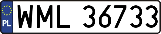WML36733