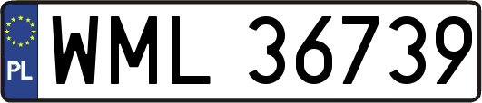 WML36739