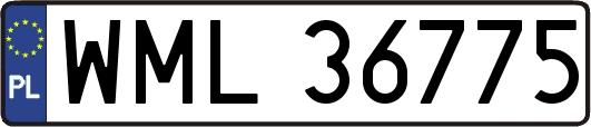 WML36775