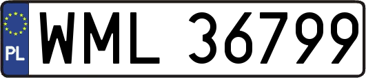 WML36799