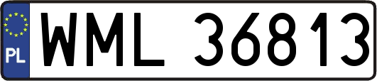 WML36813